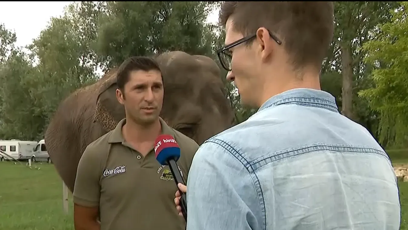 Napindító - Állatkertek Éjszakája a Richter Safari Parkban