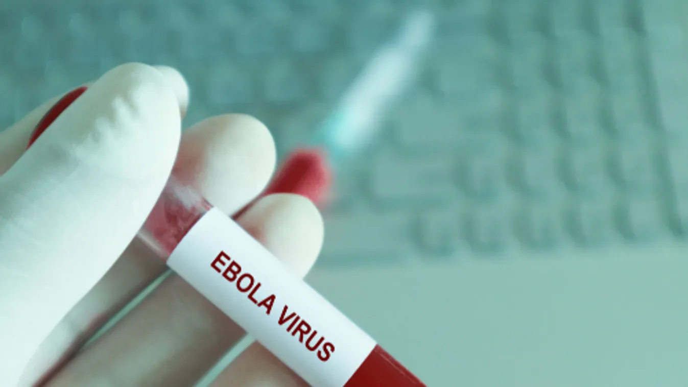 Lázadó milicisták támadtak egy betegeket kezelő központra Kelet-Kongóban