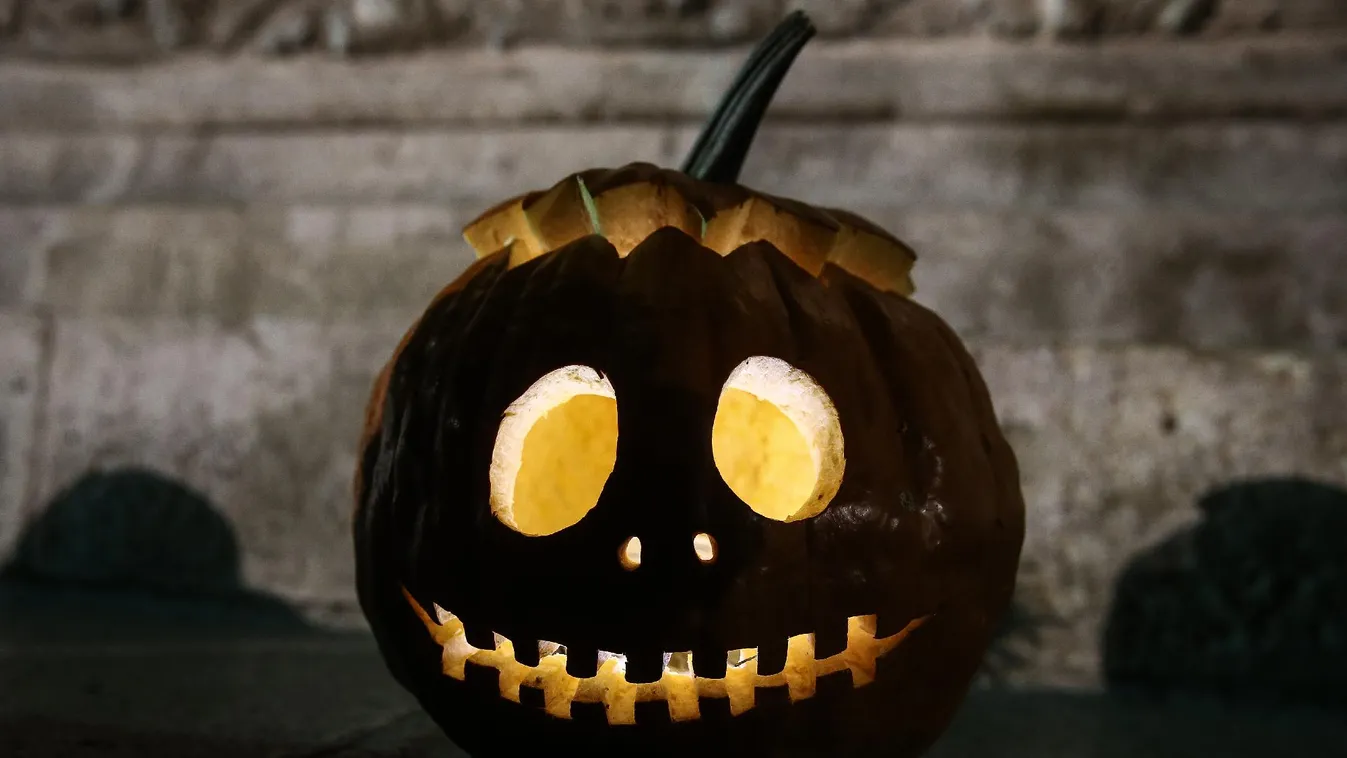 Halloween – Felfedező