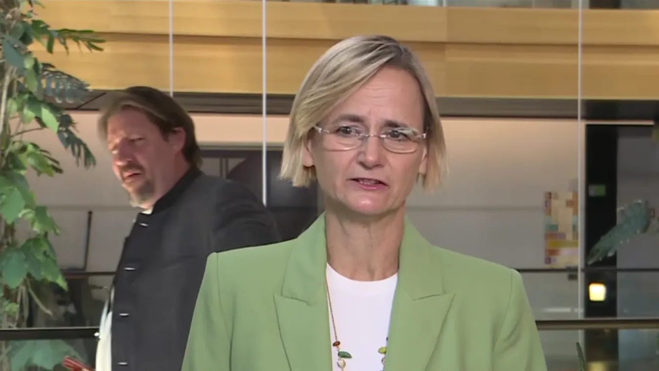 Győri Enikő: A globális minimumadó káros Európa versenyképességére