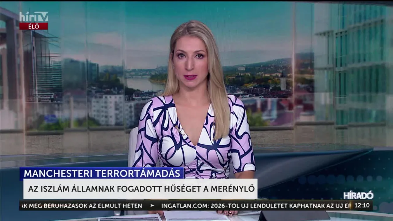 AZ ISZLÁM ÁLLAMNAK FOGADOTT HŰSÉGET A MERÉNYLŐ