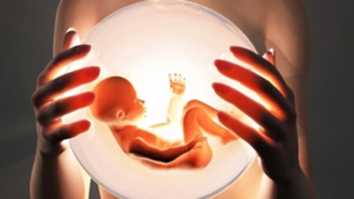 Vitás fogantatás – Látótér