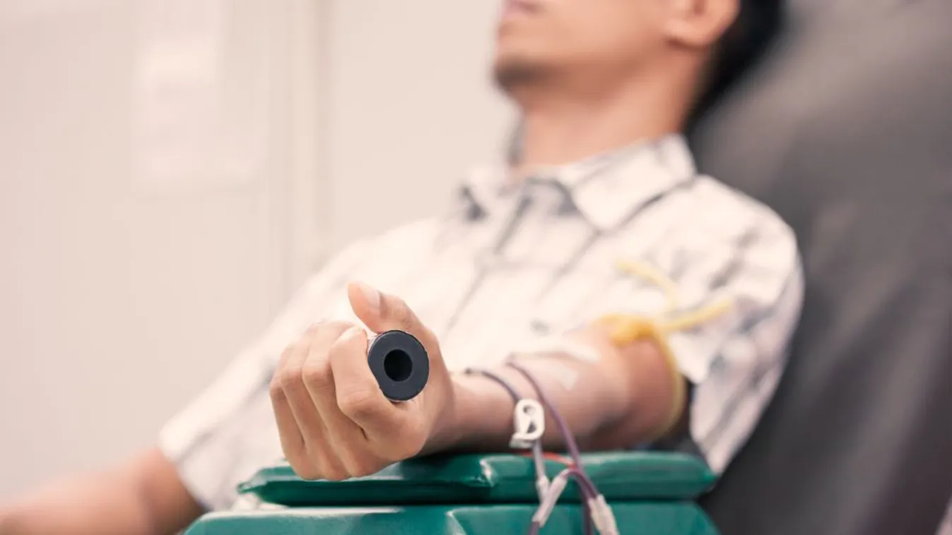 Tavaly mintegy 240 ezren adtak vért Magyarországon