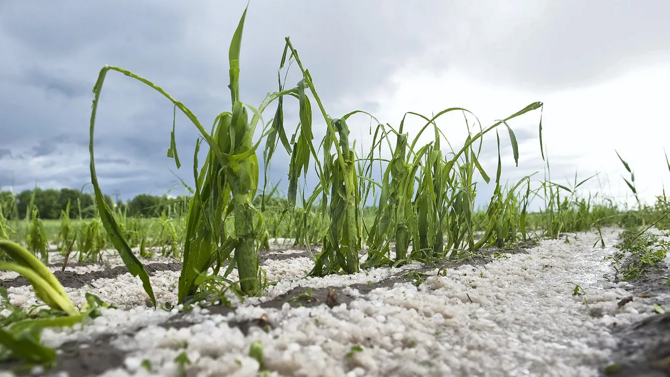 Beváltotta a reményeket az országos jégkármérséklő-rendszer