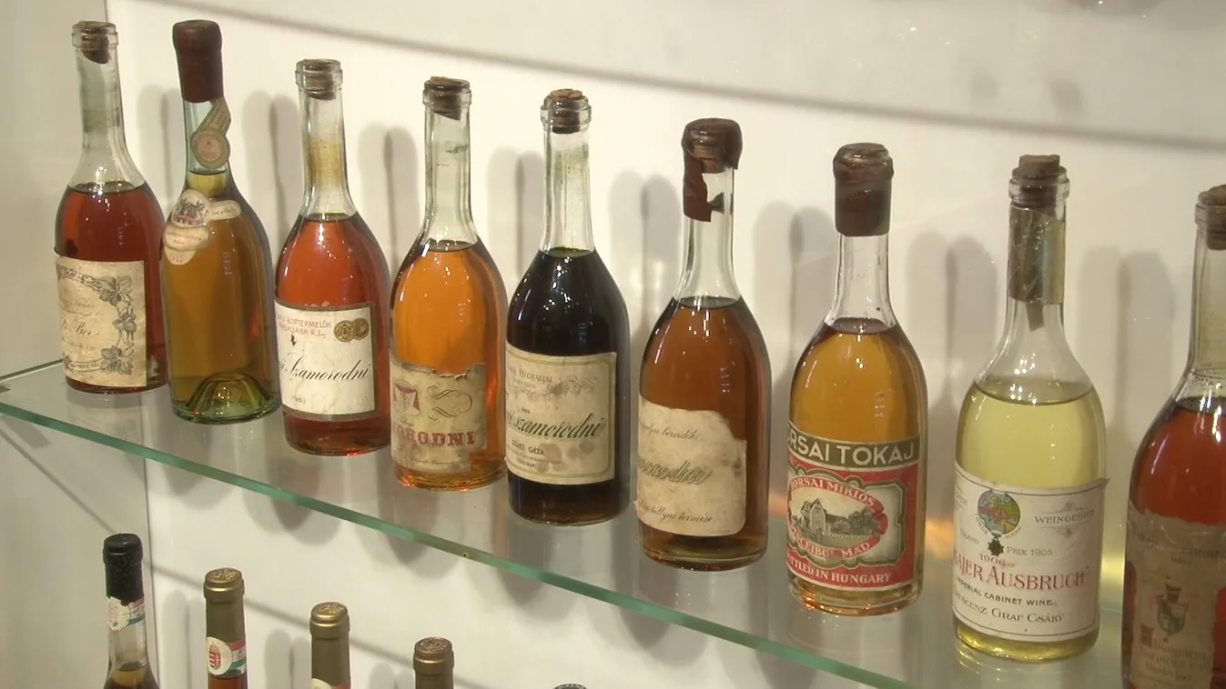 Radar - A Világörökségi Bormúzeum titkai