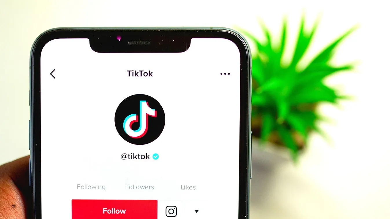 Trump a TikTok-kal győzött – ez volt a titka a szakértő szerint