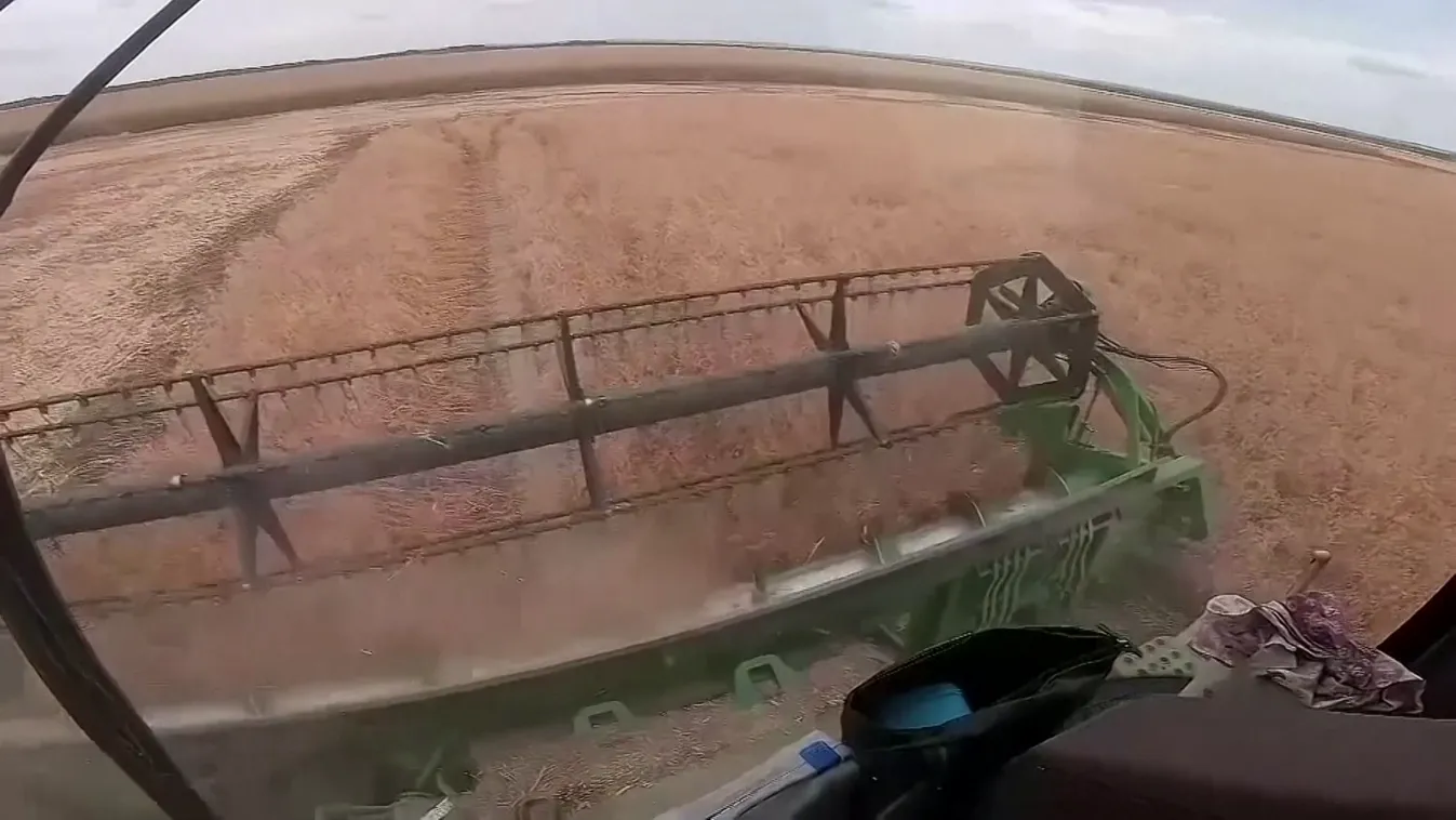 A gabonaválság és az élelmiszerhiány példátlan migrációs krízist okozhat