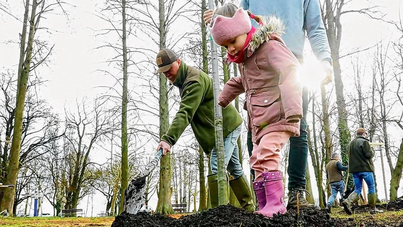 Tovább nő hazánk zöldvagyona