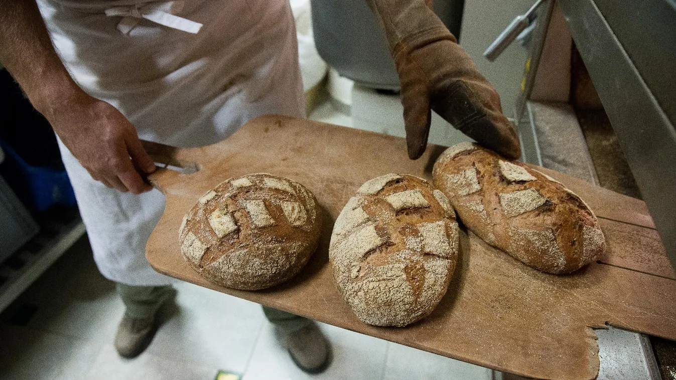 Olcsóbb lett az élelmiszer, megrohamozták a boltokat