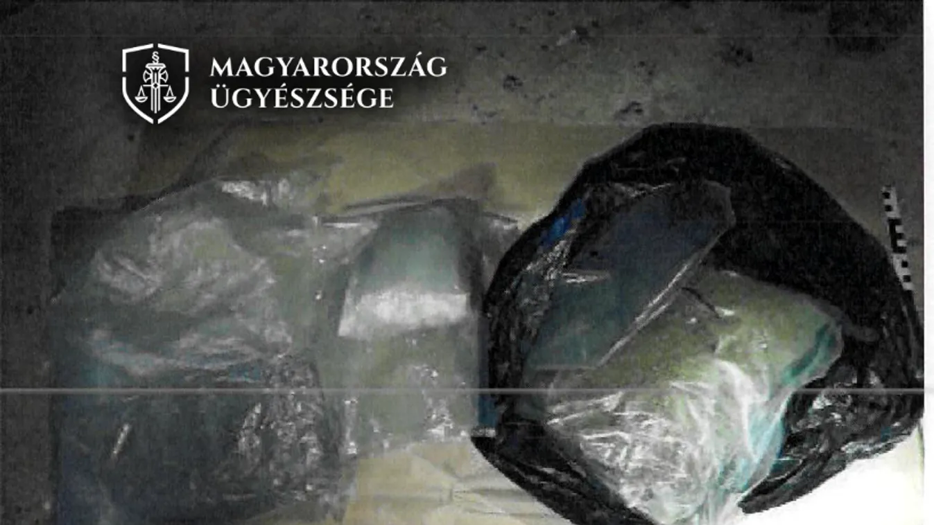 Letartóztatásban marad a díler