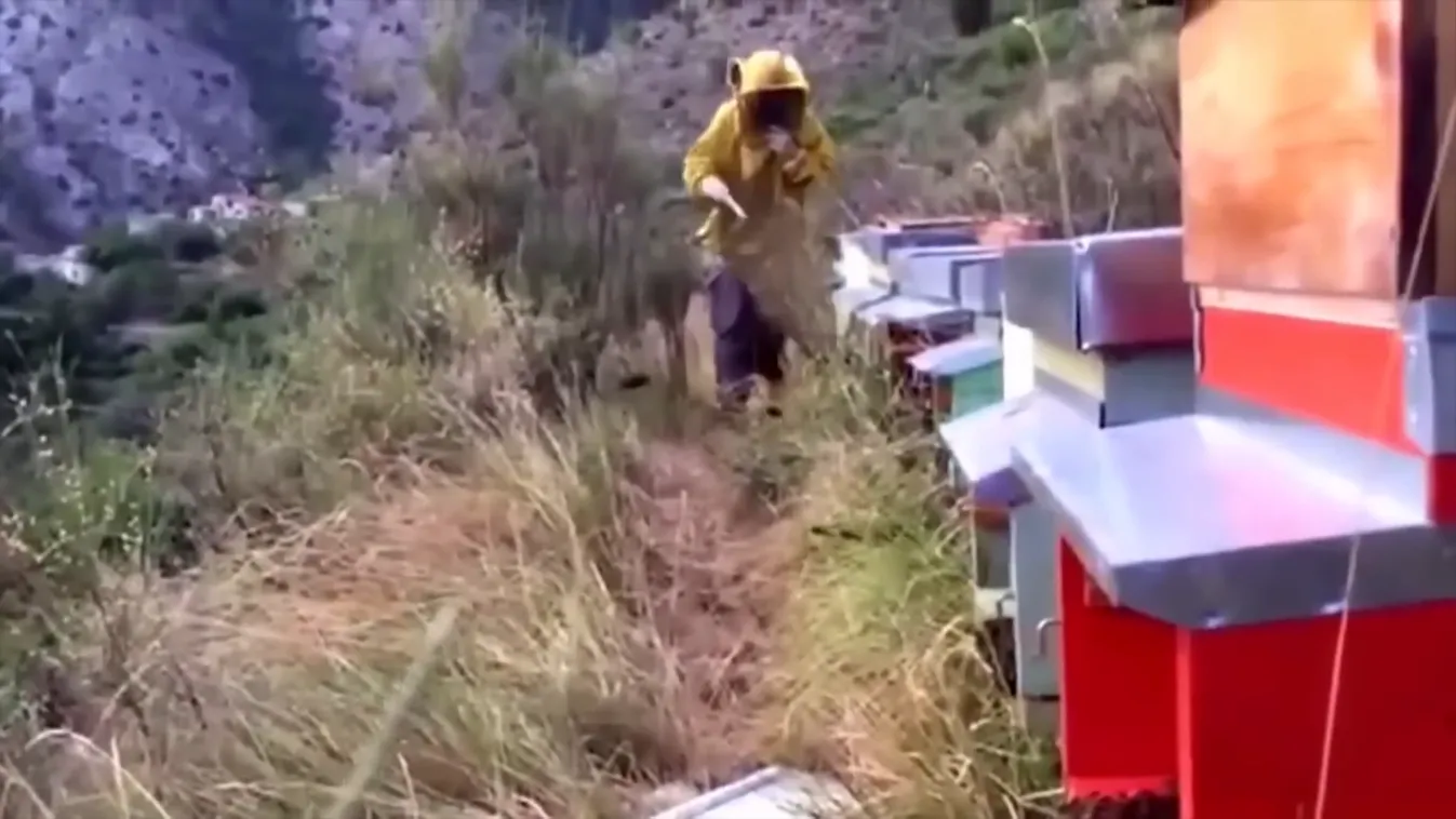 Radar - Inváziós rovarok lepik el az országot