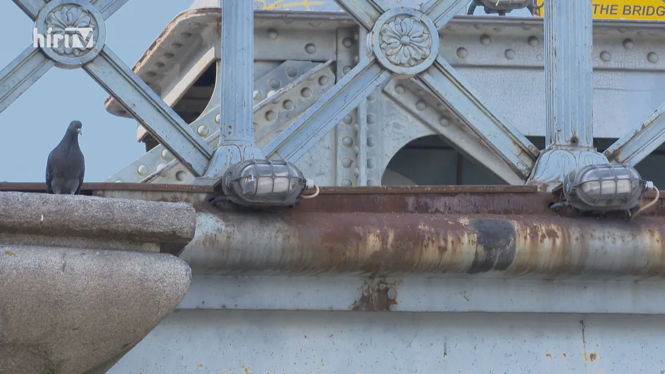 Karácsony Gergely továbbra is magyarázkodik a Lánchíd költségvetésével kapcsolatban