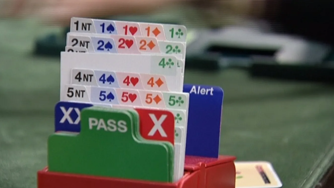 Az Európai Unió bírósága szerint sem sport a bridzs