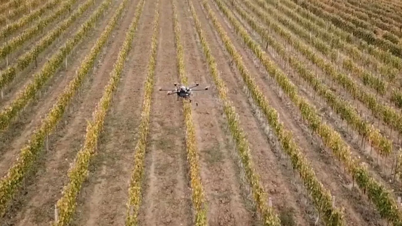 Soroló: Dróntörvény