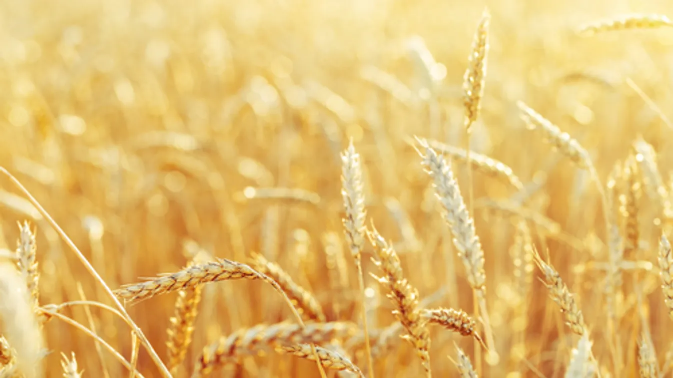 AM: Magyarország regionális szinten is aktív a fenntarthatóság érdekében