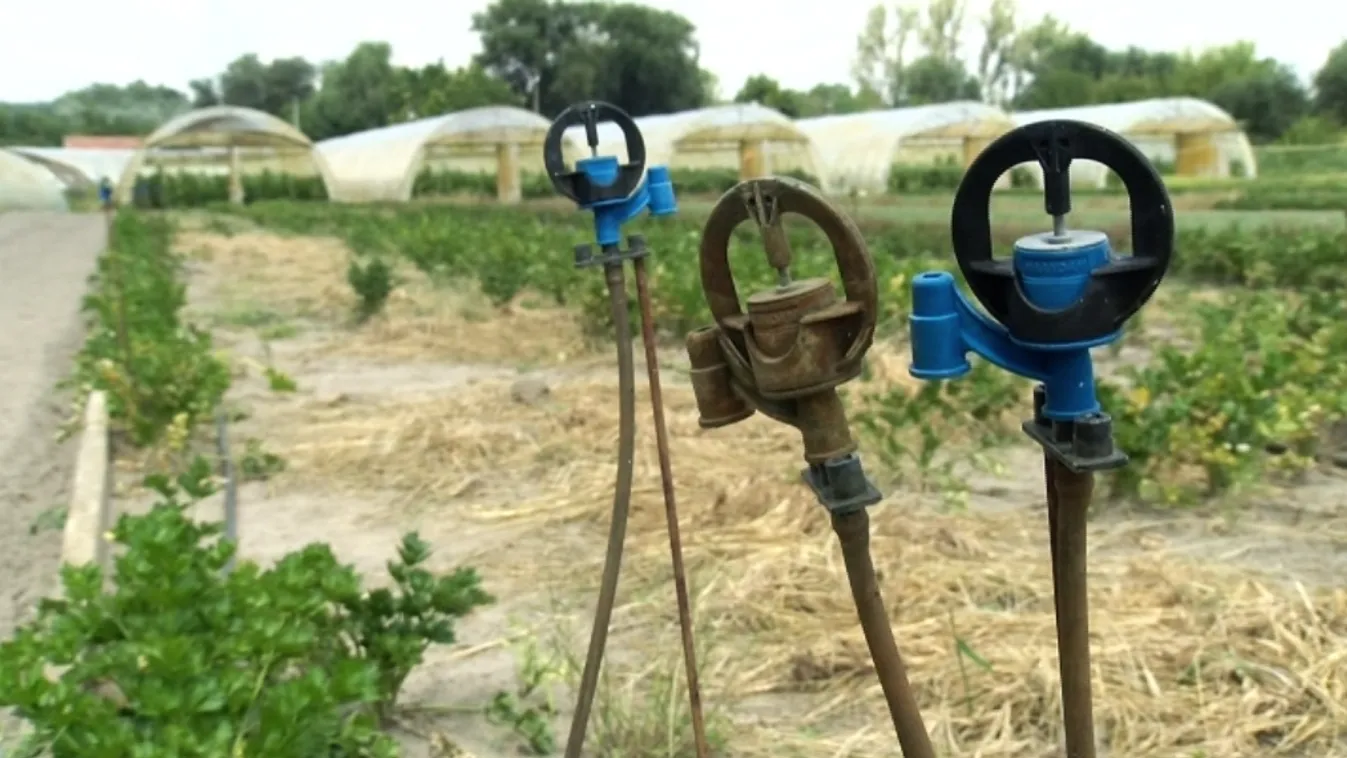 Augusztus végén dönt az Alkotmánybíróság a kúttörvényről