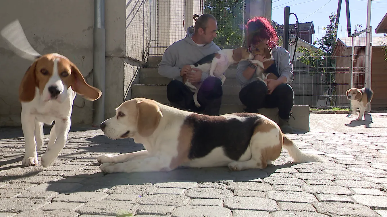 Radar - A kísérleti állatok világnapja