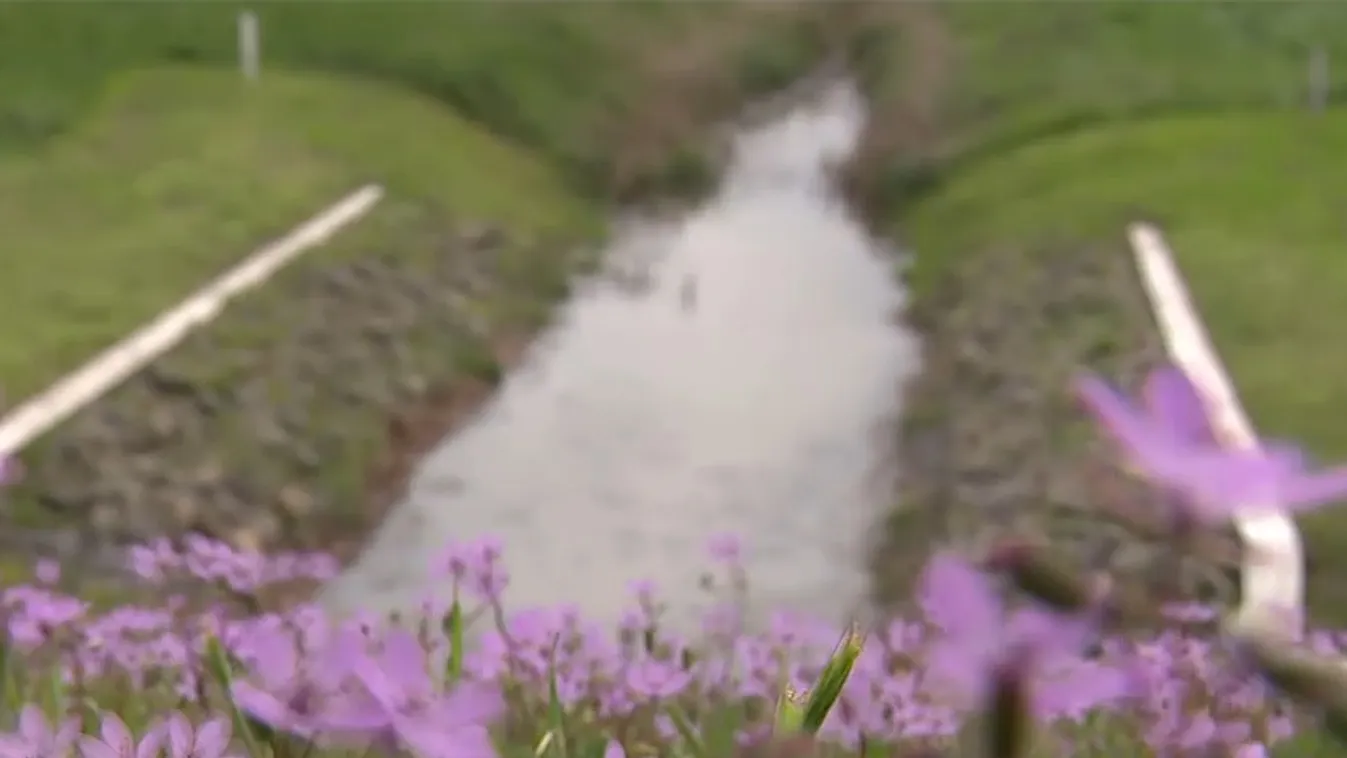 Radar – Új vízgazdálkodási program indult a Homokhátságon  + videó