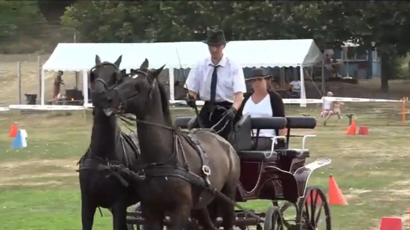 Fogathajtó versenyt tartottak Balatonszárszón + videó