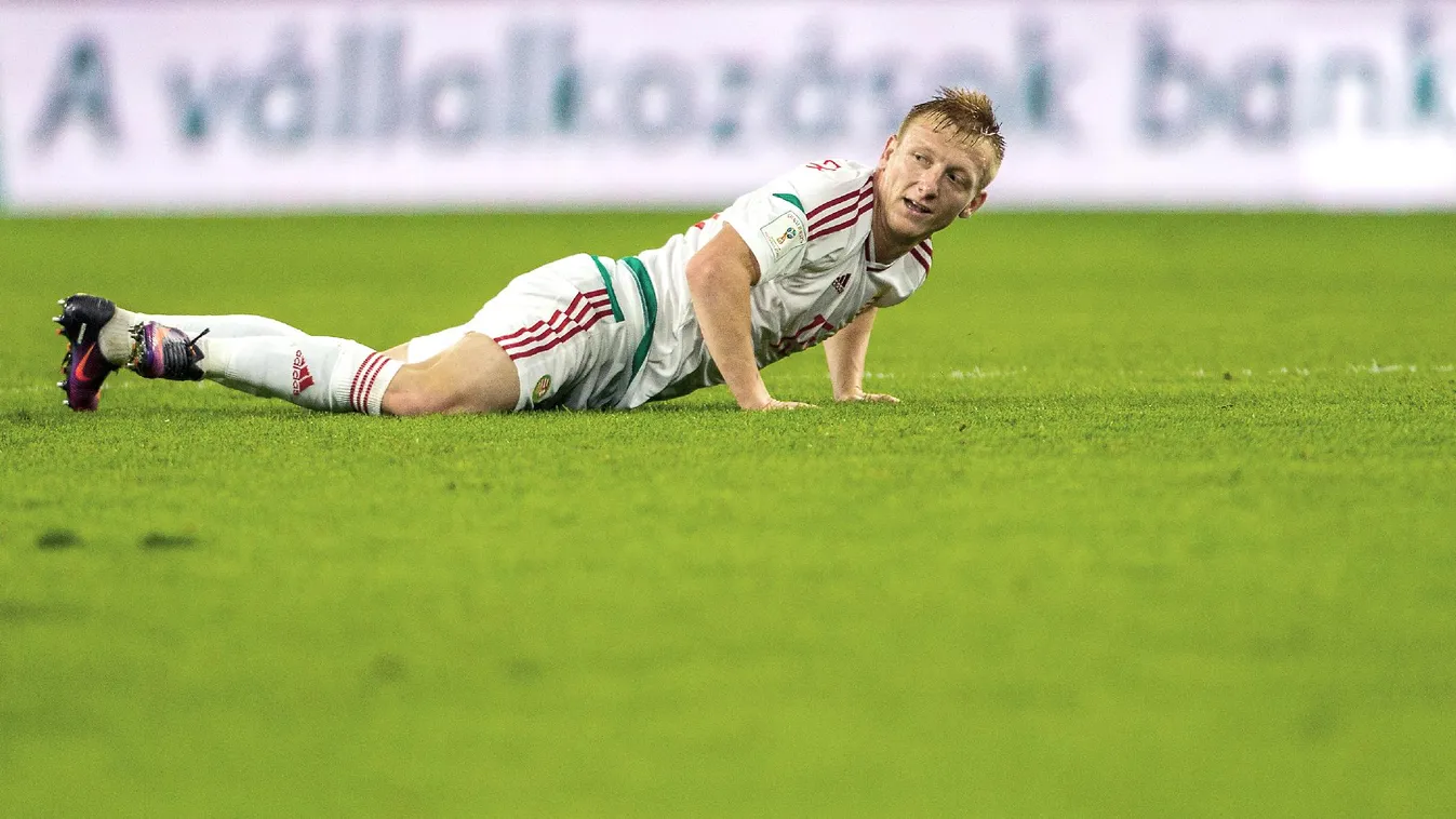 Kidőlt Storck felfedezettje