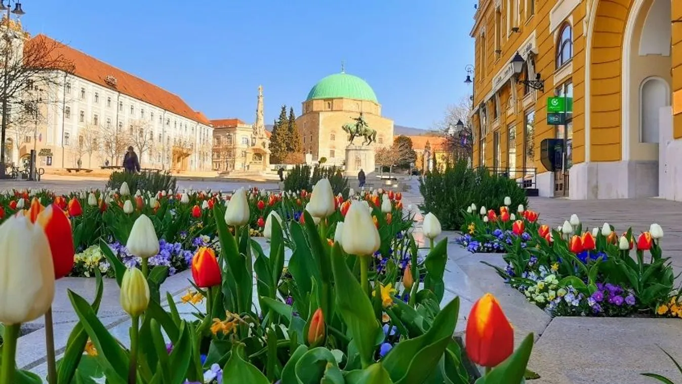 Magyarországon egyedülálló adatbázis lendítheti fel Pécs turizmusát