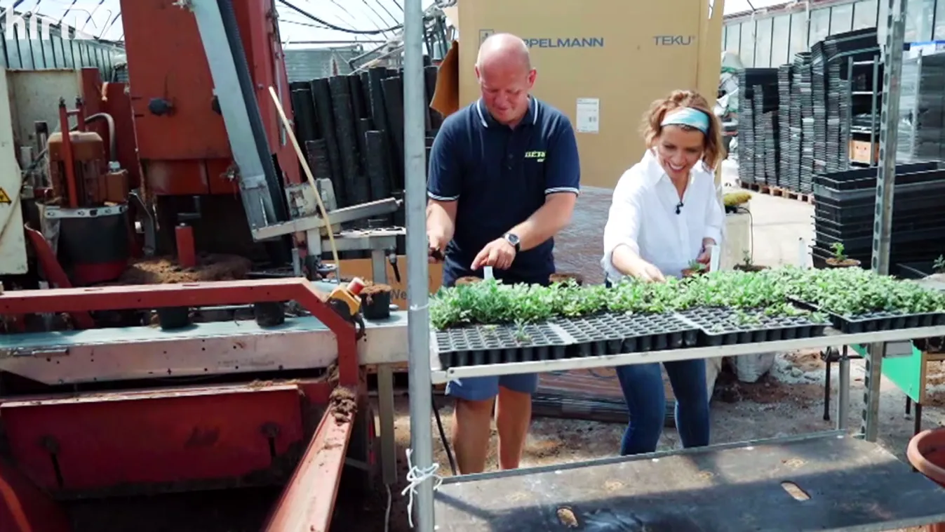 Zsuzsi asztala: Biokertészetben jártunk