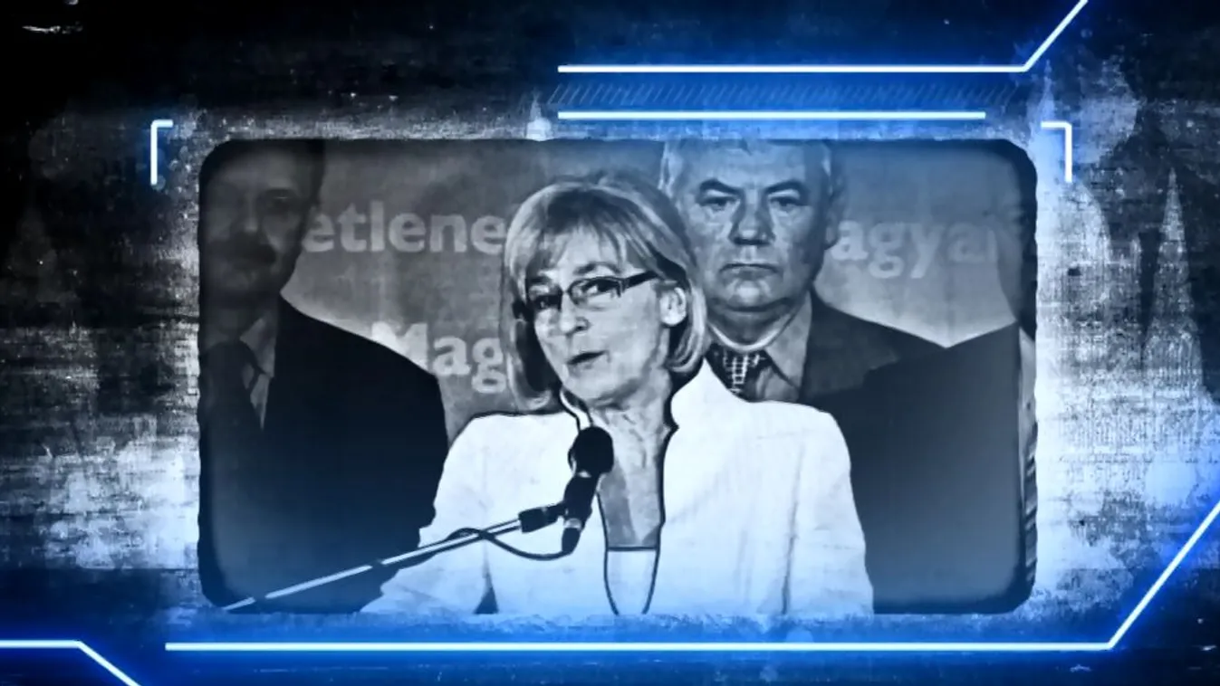 Dávid Ibolya – Főhős