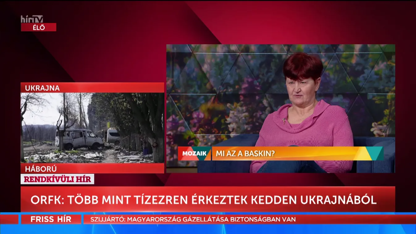 Mozaik: Mi az a baskin?