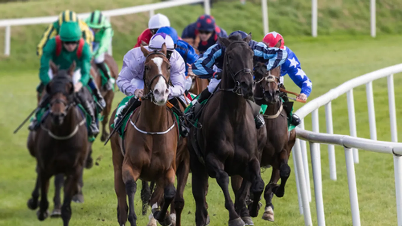 Hamarosan újra indul a lovassport Magyarországon