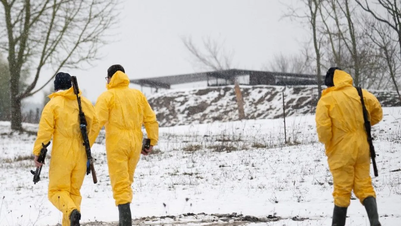 Ragadós száj- és körömfájás: A németek túl vannak rajta