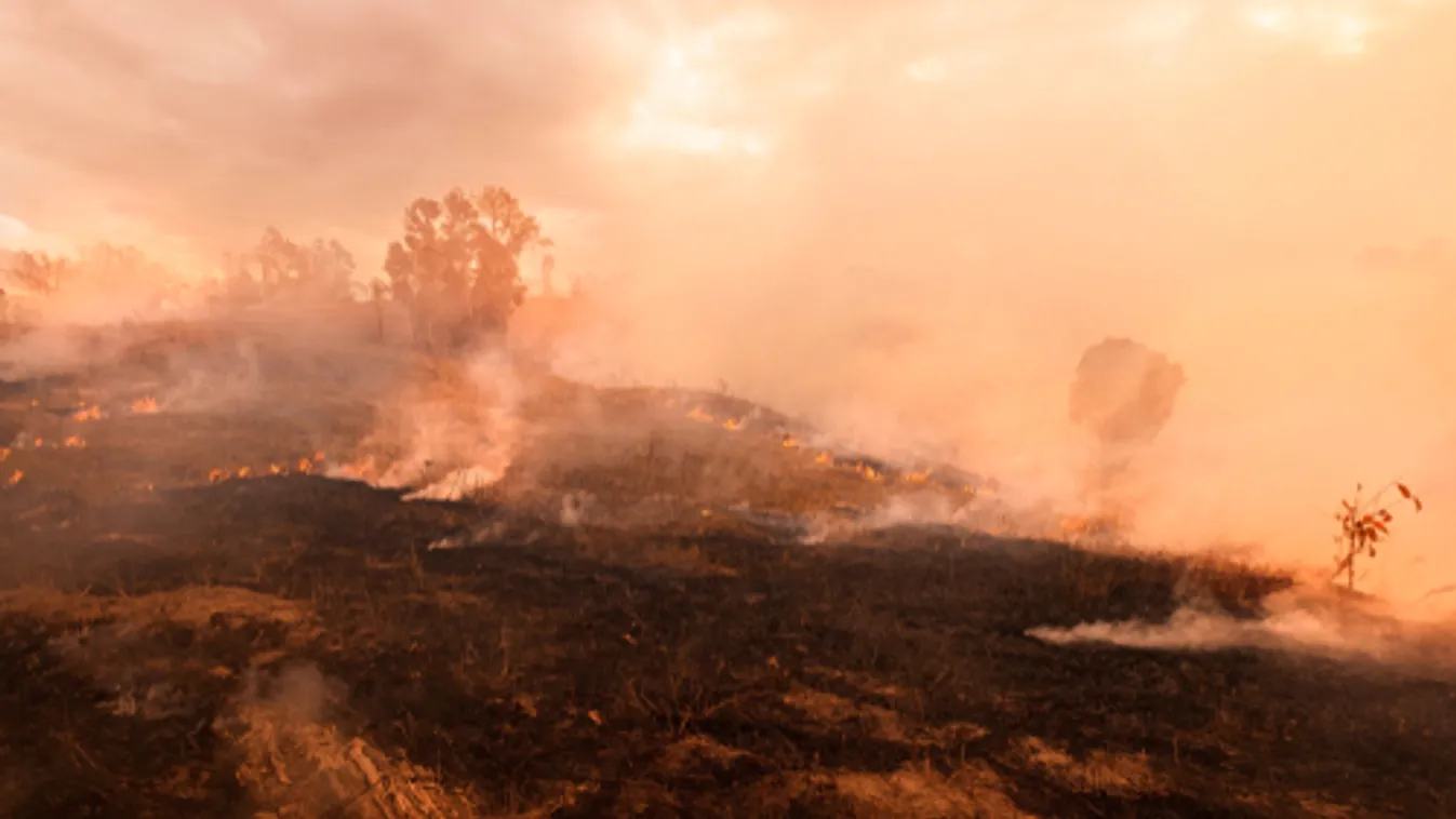 Mintegy százezer villámcsapás okozott áramkimaradásokat és bozóttüzeket Ausztrália déli részén