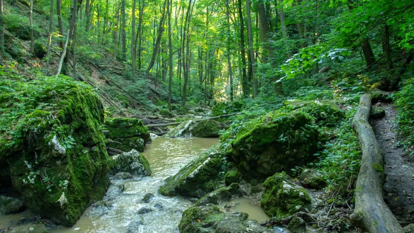Faunánk megvédéséhez a lehető legszélesebb társadalmi egyetértést kell megteremteni