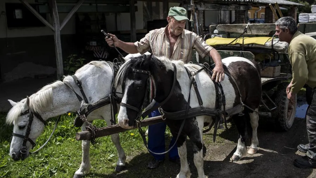 Segítünk mi magunkon!