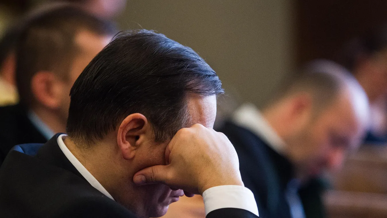 Vizoviczki László beismerte a vádakat