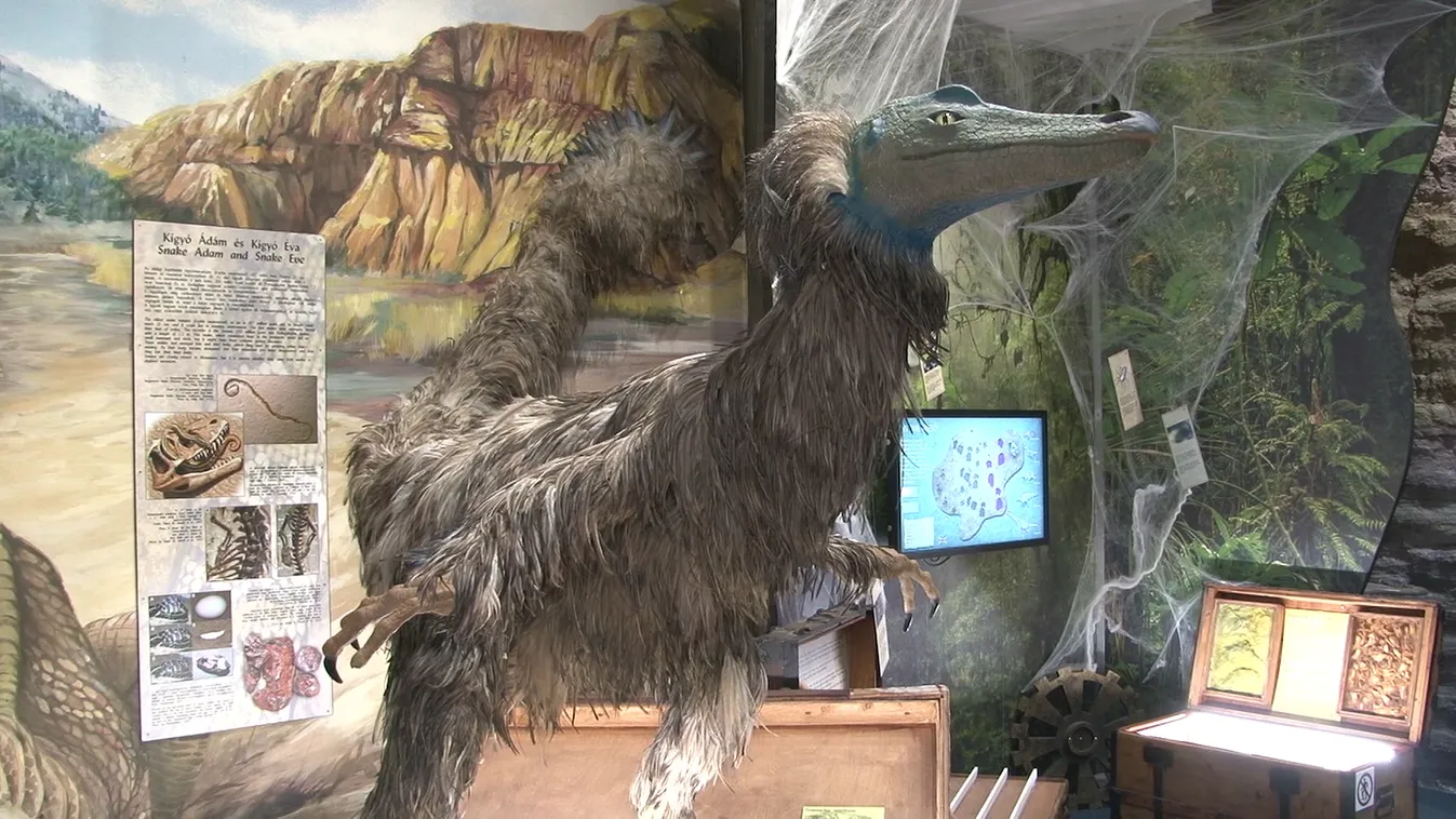 Radar - Utazás a dínók földjére