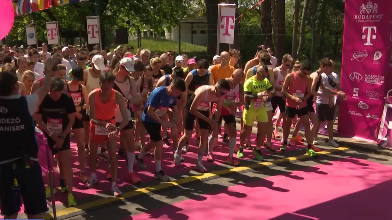 Négyszer kerülhették volna meg a Földet a 38. Vivicittá résztvevői