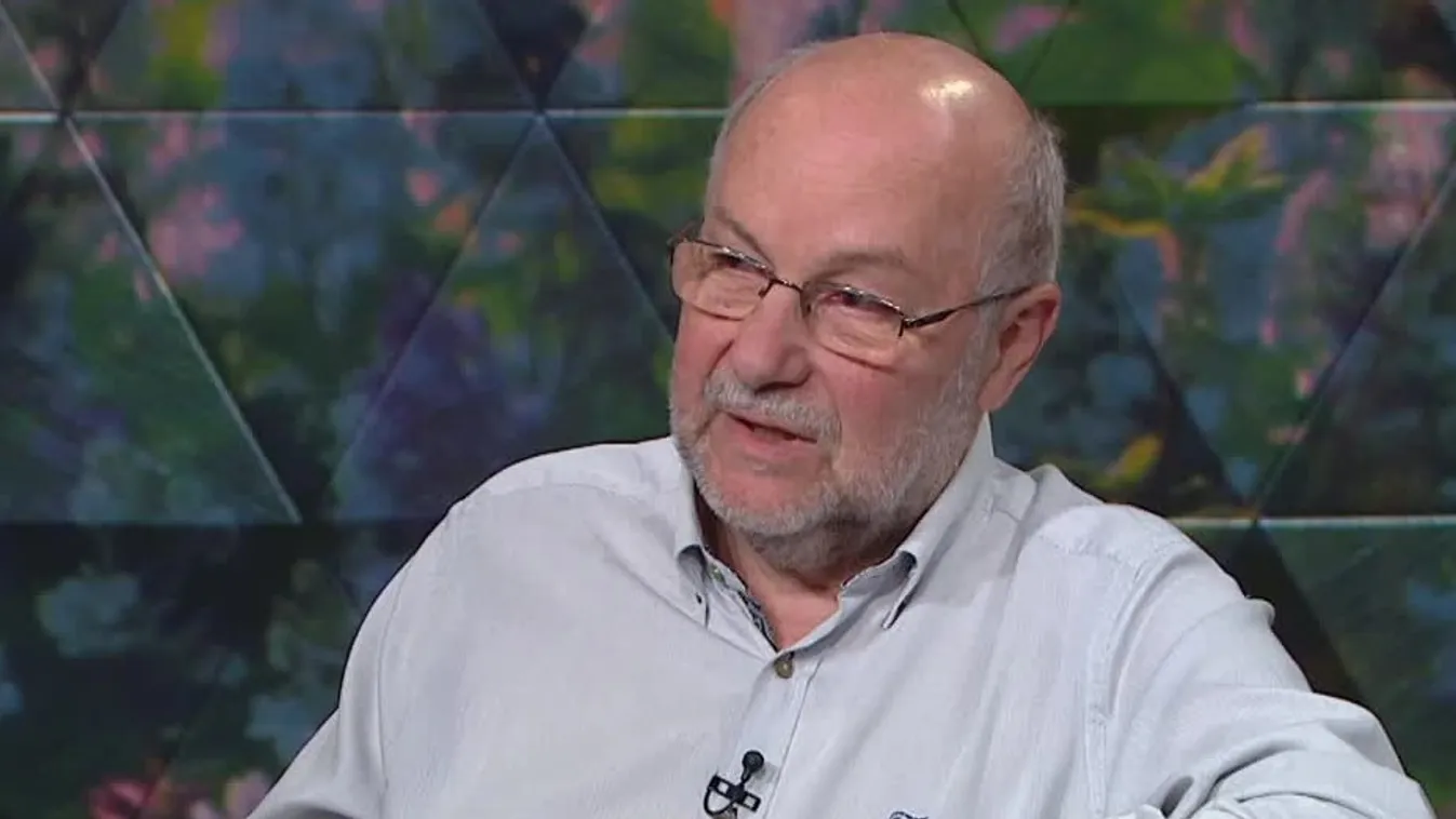 Mozaik - A Fusion Circus a hangszínek és ritmusok izgalmas keverékét kínálja