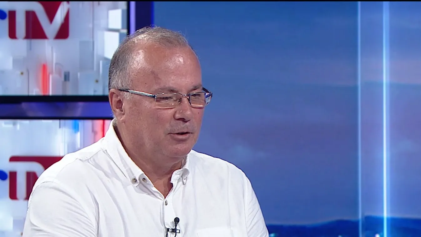Napindító - A hőguta veszélyei háziállatainkra