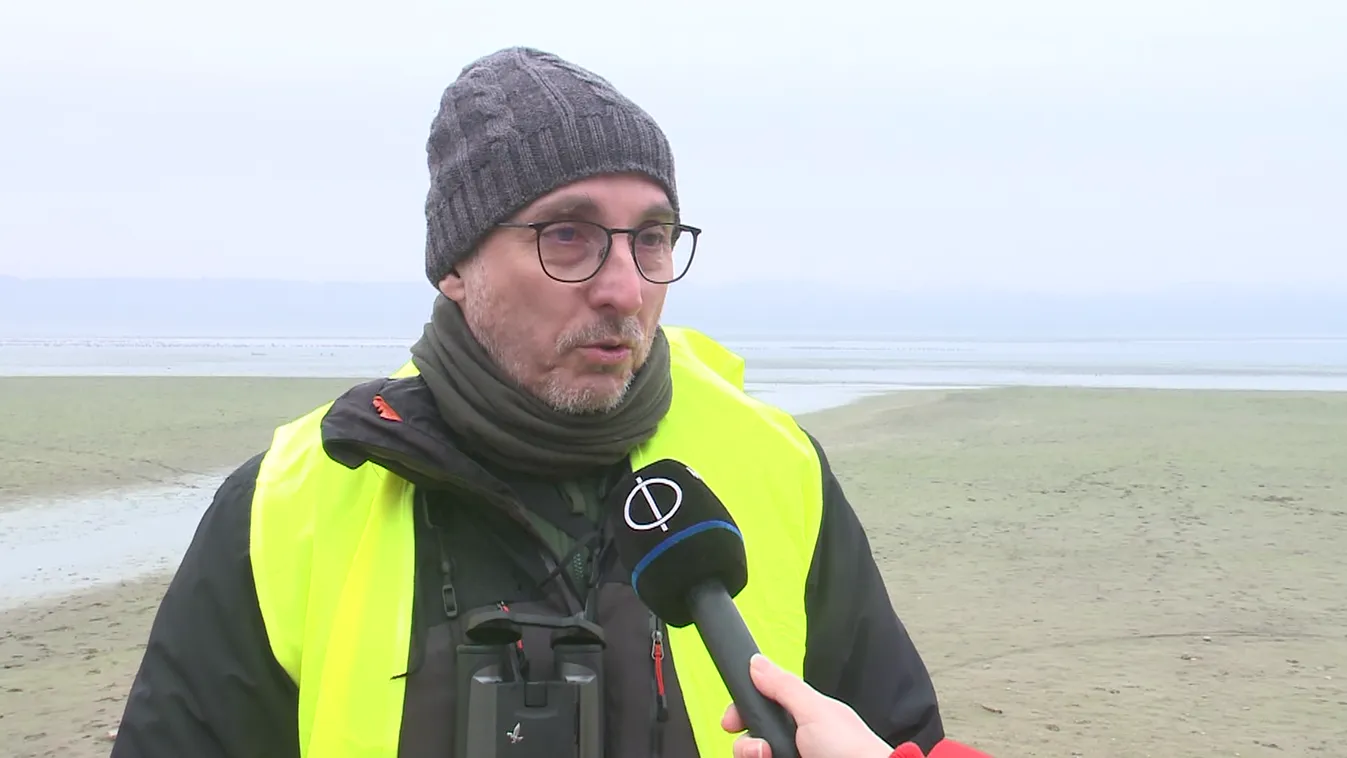 Radar - Tatai vadlúd sokadalom