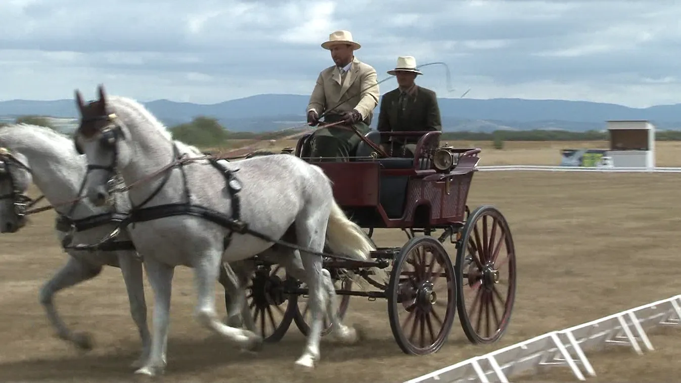 12 éve román nemzeti bajnok a fogathajó Rákóczi Gergő
