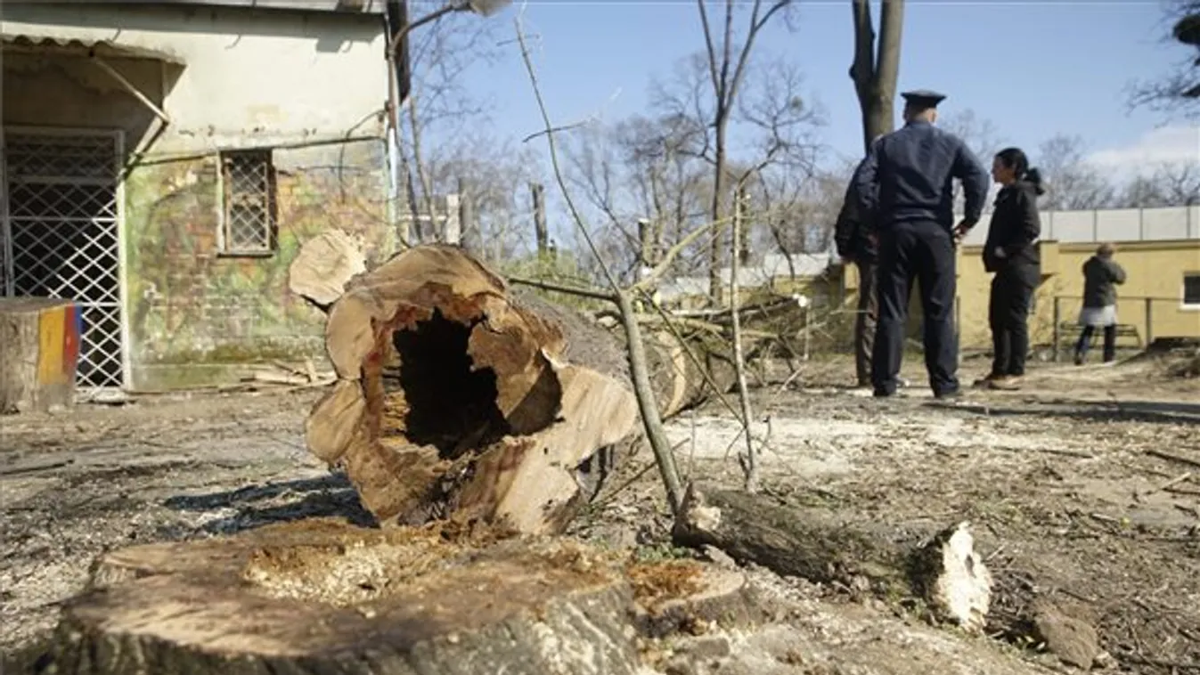 Civilek akadályozták meg a fák kivágását a Ligetben