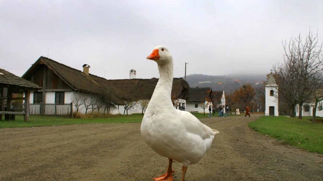 Nemzetközi Visegrád-díjban részesült a szentendrei Skanzen