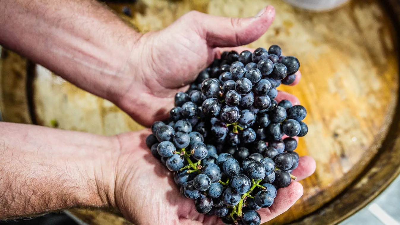 Most még vannak érvei a kétkedőknek és a bizakodóknak is – Soroló