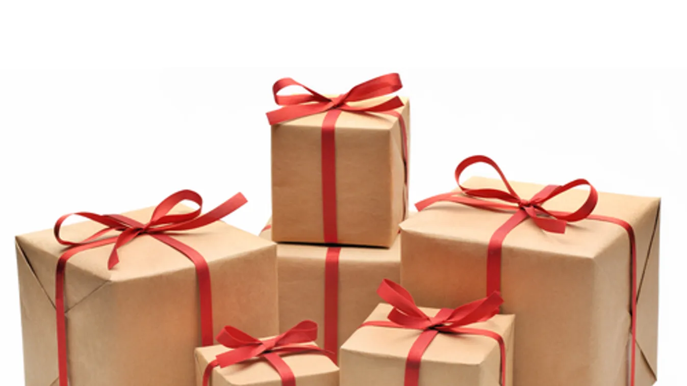 Ajándékkönyveket és önkénteseket is vár a Mikulásgyár