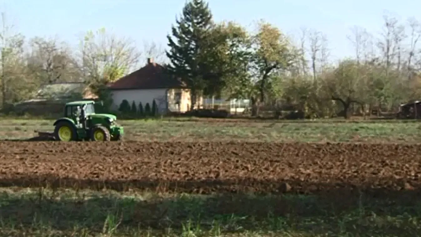 Osztatlan közös földtulajdon