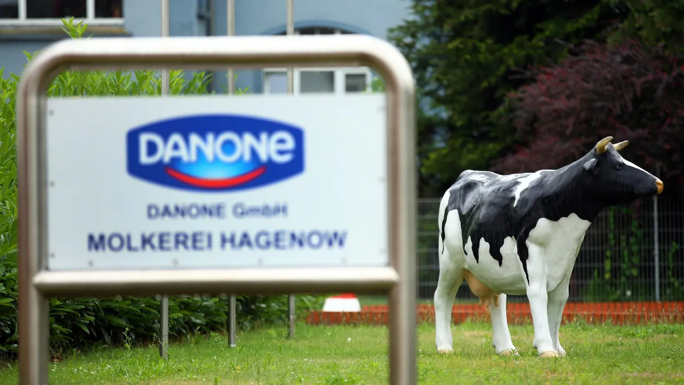 Szibériába telepíti teheneit a Danone