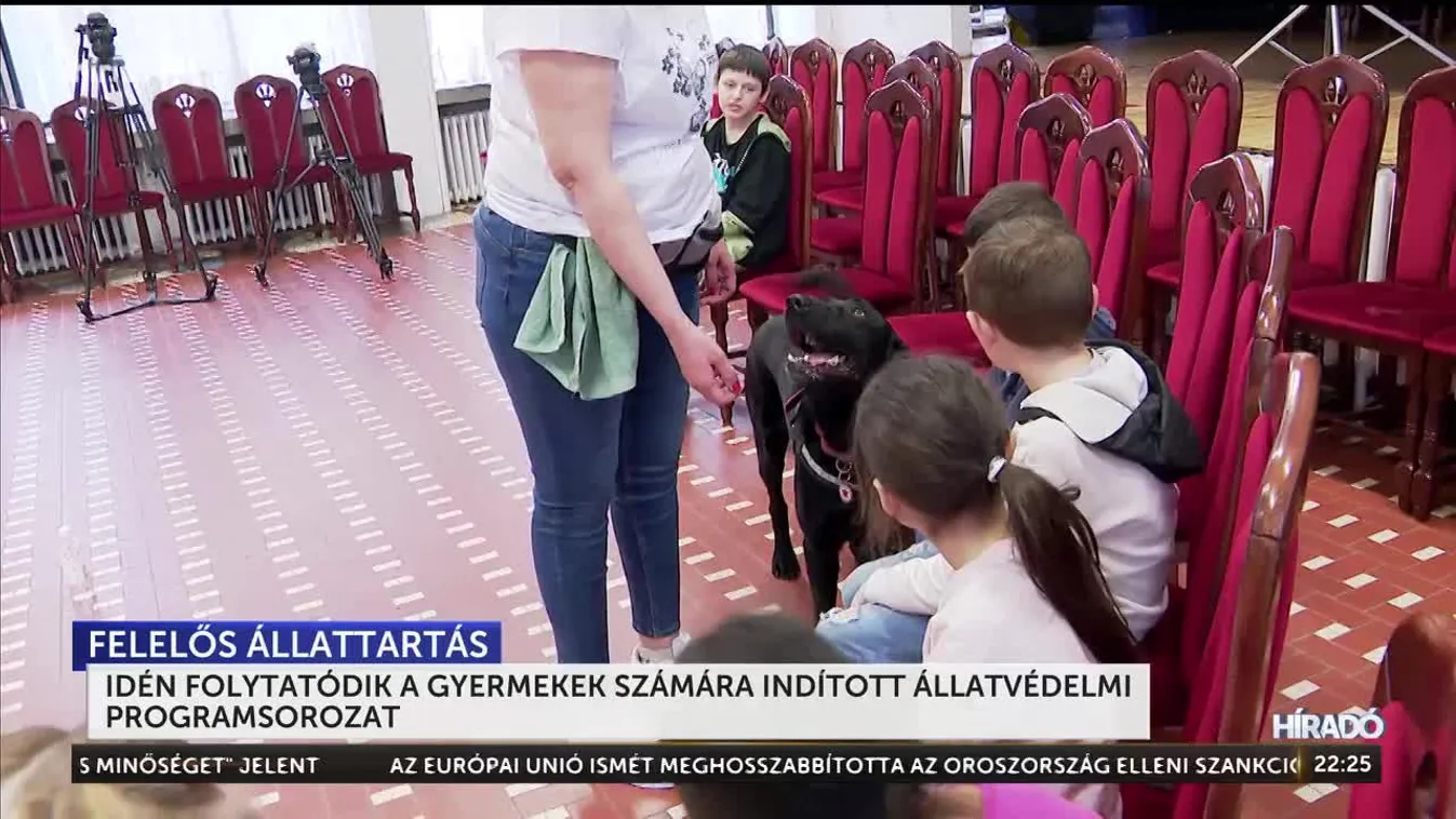 Idén folytatódik a gyermekek számára indított állatvédelmi programsorozat + videó