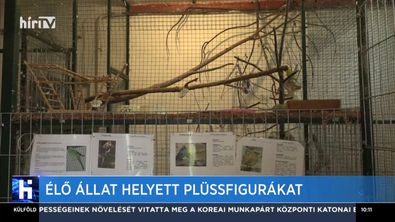 Élő állat helyett plüssfigura