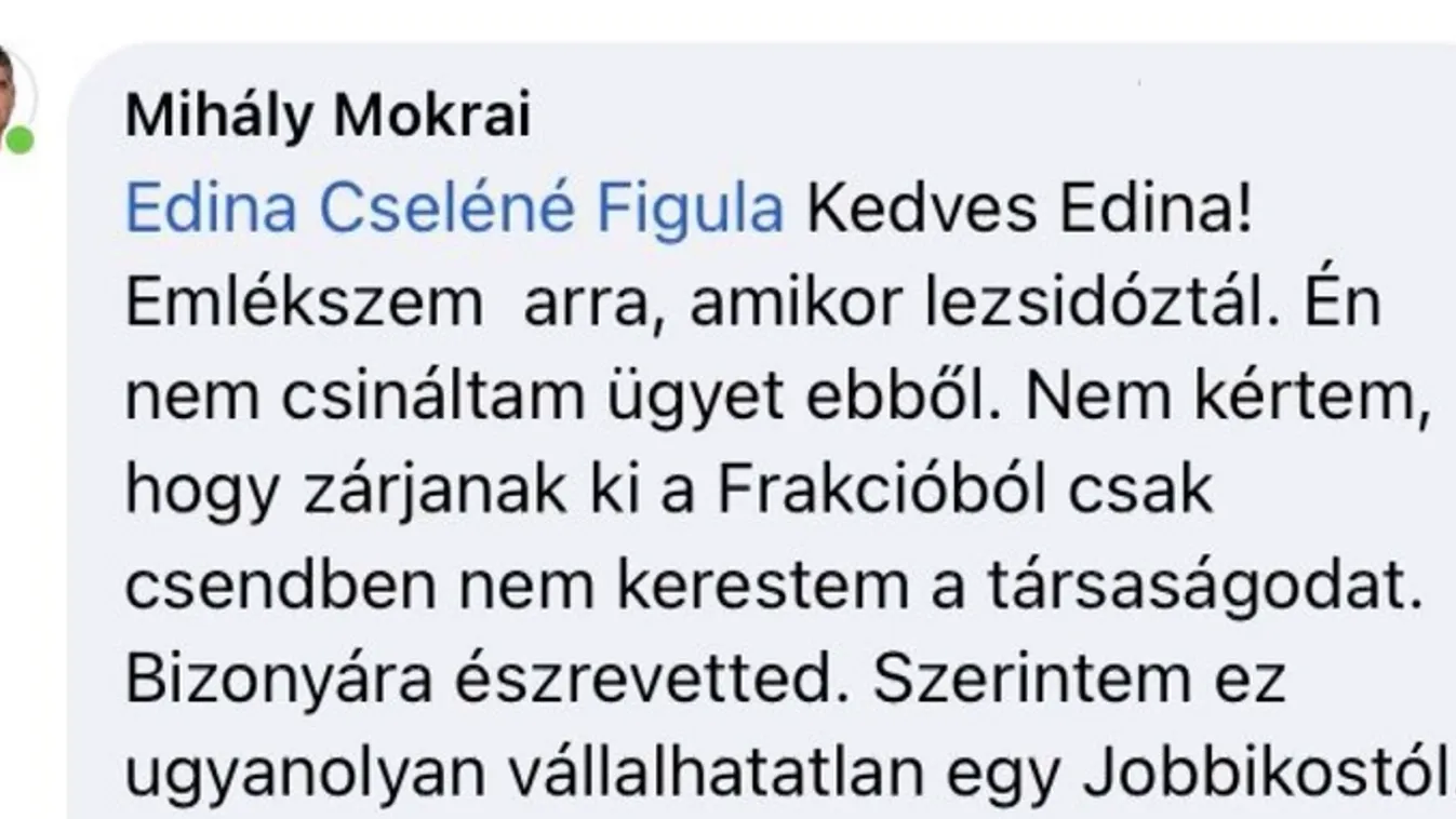 Egymásnak esett Miskolcon a DK és a Jobbik + videó