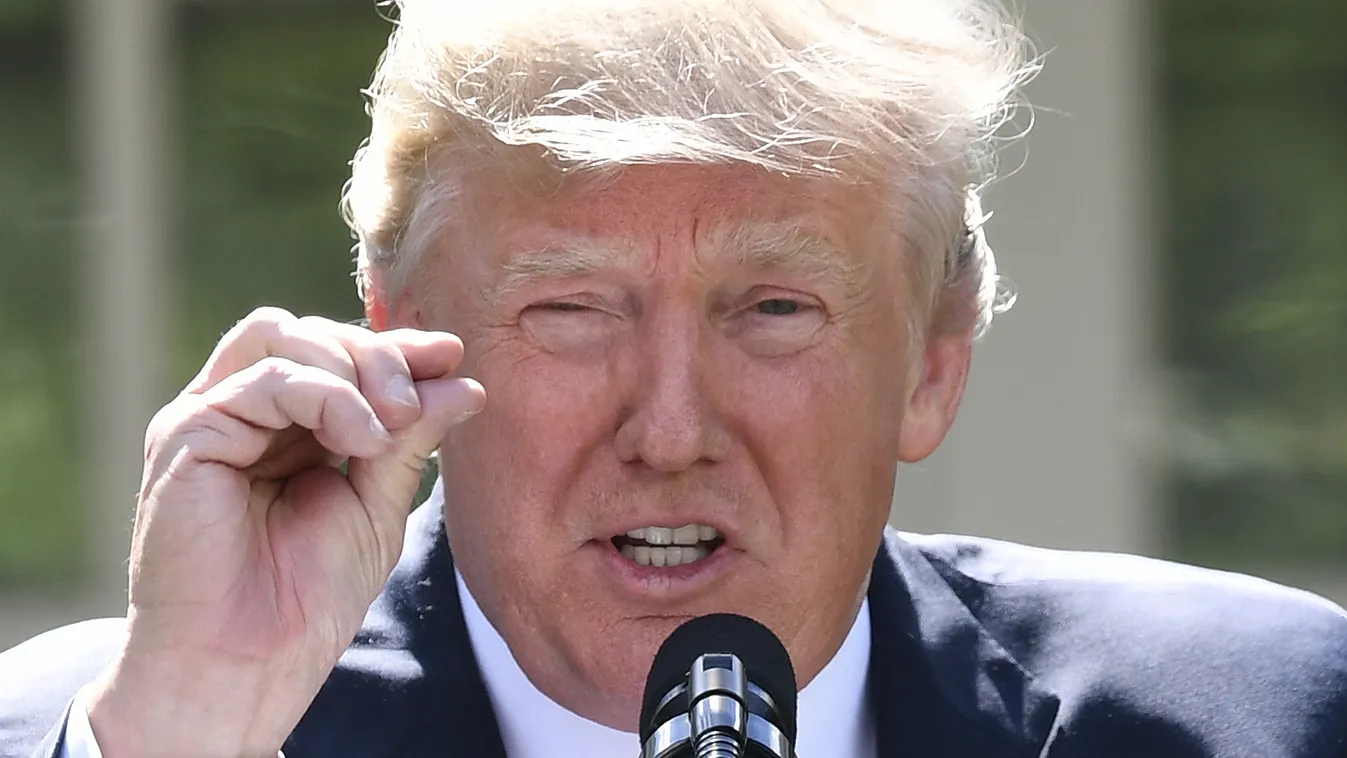 Trump belpolitikája